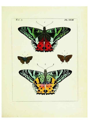 Reproducción/Reproduction 9245764395: Illustrations of natural history.. London,Printed for the author and sold by B. White,1770-82.