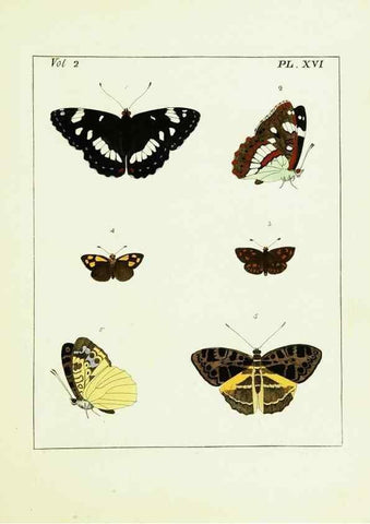 Reproducción/Reproduction 9248538782: Illustrations of natural history.. London,Printed for the author and sold by B. White,1770-82.