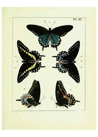 Reproducción/Reproduction 9245667189: Illustrations of natural history.. London,Printed for the author and sold by B. White,1770-82.