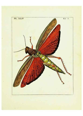 Reproducción/Reproduction 9245781541: Illustrations of natural history.. London,Printed for the author and sold by B. White,1770-82.