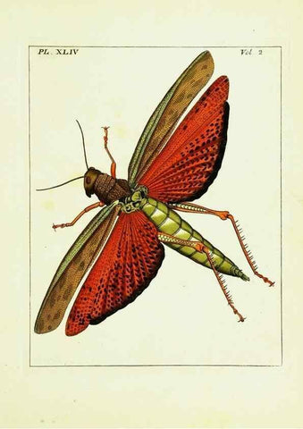 Reproducción/Reproduction 9245781541: Illustrations of natural history.. London,Printed for the author and sold by B. White,1770-82.