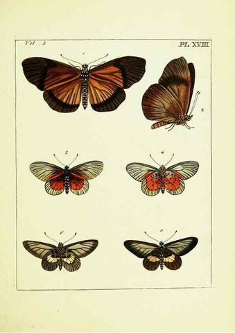 Reproducción/Reproduction 9245842599: Illustrations of natural history.. London,Printed for the author and sold by B. White,1770-82.