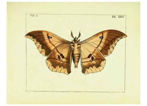 Reproducción/Reproduction 9245849017: Illustrations of natural history.. London,Printed for the author and sold by B. White,1770-82.