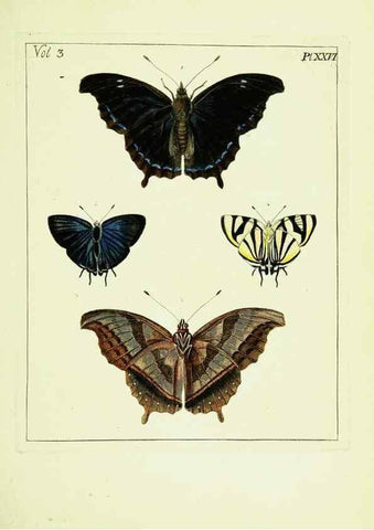 Reproducción/Reproduction 9248631130: Illustrations of natural history.. London,Printed for the author and sold by B. White,1770-82.