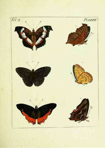Reproducción/Reproduction 9245850709: Illustrations of natural history.. London,Printed for the author and sold by B. White,1770-82.