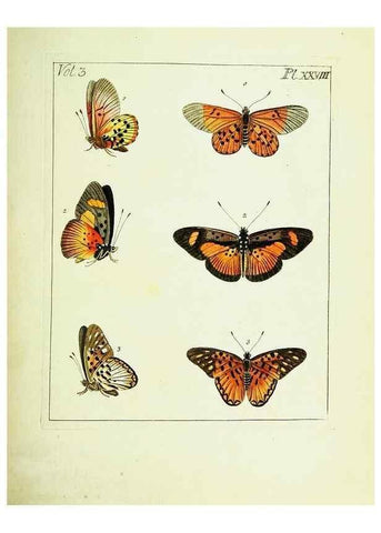Reproducción/Reproduction 9248632914: Illustrations of natural history.. London,Printed for the author and sold by B. White,1770-82.