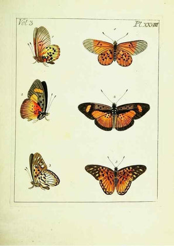 Reproducción/Reproduction 9248632914: Illustrations of natural history.. London,Printed for the author and sold by B. White,1770-82.