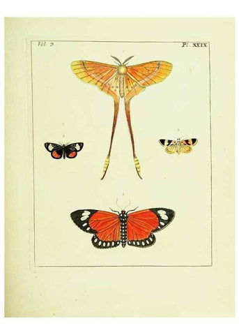 Reproducción/Reproduction 9248633746: Illustrations of natural history.. London,Printed for the author and sold by B. White,1770-82.