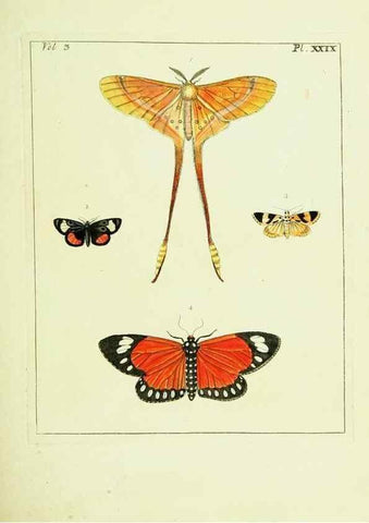 Reproducción/Reproduction 9248633746: Illustrations of natural history.. London,Printed for the author and sold by B. White,1770-82.