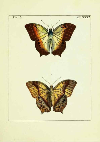 Reproducción/Reproduction 9245854241: Illustrations of natural history.. London,Printed for the author and sold by B. White,1770-82.