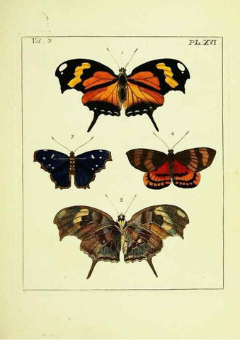 Reproducción/Reproduction 9248621646: Illustrations of natural history.. London,Printed for the author and sold by B. White,1770-82.