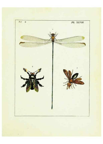 Reproducción/Reproduction 9245784591: Illustrations of natural history.. London,Printed for the author and sold by B. White,1770-82.