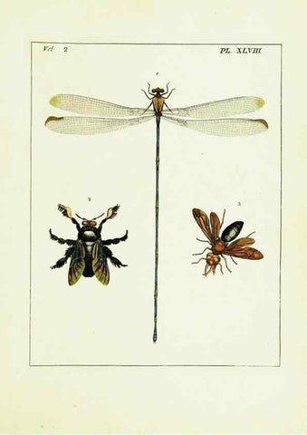 Reproducción/Reproduction 9245784591: Illustrations of natural history.. London,Printed for the author and sold by B. White,1770-82.
