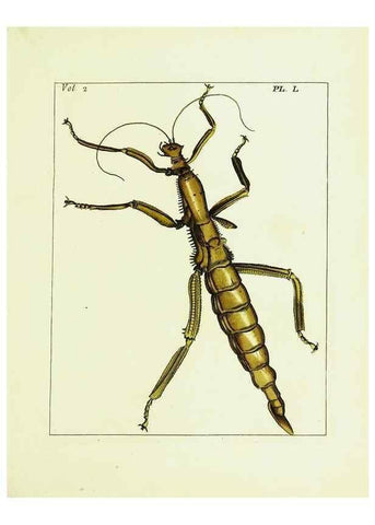 Reproducción/Reproduction 9248567128: Illustrations of natural history.. London,Printed for the author and sold by B. White,1770-82.