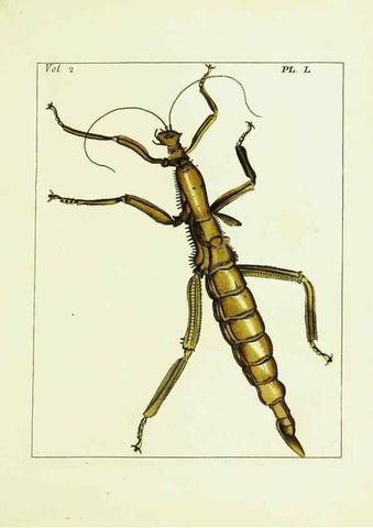 Reproducción/Reproduction 9248567128: Illustrations of natural history.. London,Printed for the author and sold by B. White,1770-82.