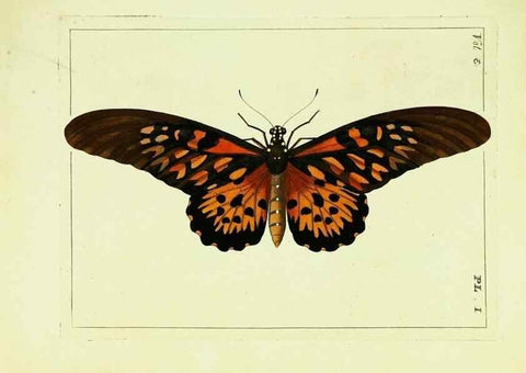 Reproducción/Reproduction 9245825679: Illustrations of natural history.. London,Printed for the author and sold by B. White,1770-82.