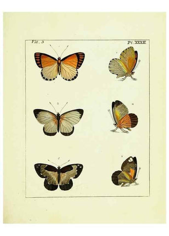 Reproducción/Reproduction 9248636570: Illustrations of natural history.. London,Printed for the author and sold by B. White,1770-82.