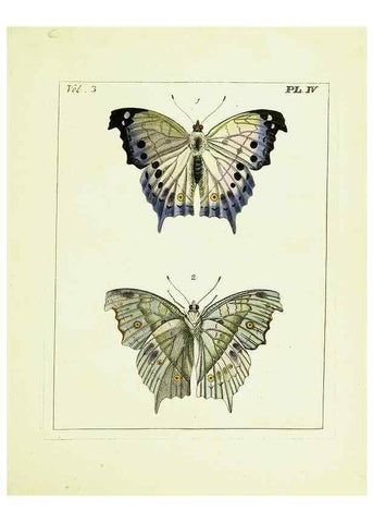 Reproducción/Reproduction 9248609918: Illustrations of natural history.. London,Printed for the author and sold by B. White,1770-82.