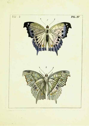 Reproducción/Reproduction 9248609918: Illustrations of natural history.. London,Printed for the author and sold by B. White,1770-82.