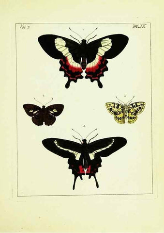 Reproducción/Reproduction 9245833435: Illustrations of natural history.. London,Printed for the author and sold by B. White,1770-82.