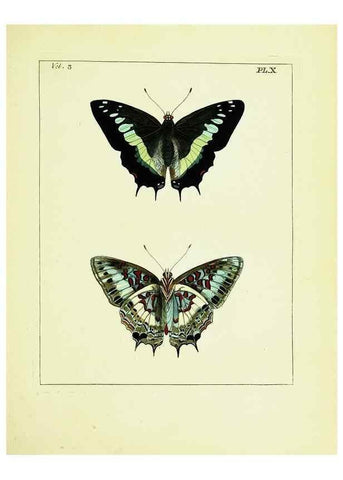 Reproducción/Reproduction 9245834513: Illustrations of natural history.. London,Printed for the author and sold by B. White,1770-82.
