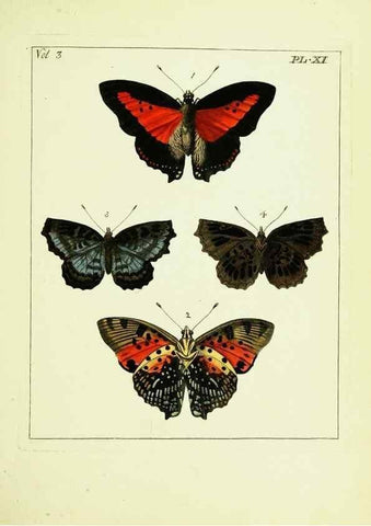 Reproducción/Reproduction 9248616638: Illustrations of natural history.. London,Printed for the author and sold by B. White,1770-82.