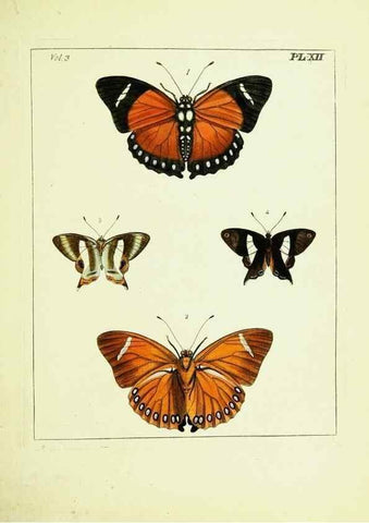 Reproducción/Reproduction 9248617608: Illustrations of natural history.. London,Printed for the author and sold by B. White,1770-82.