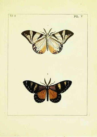 Reproducción/Reproduction 9248610888: Illustrations of natural history.. London,Printed for the author and sold by B. White,1770-82.