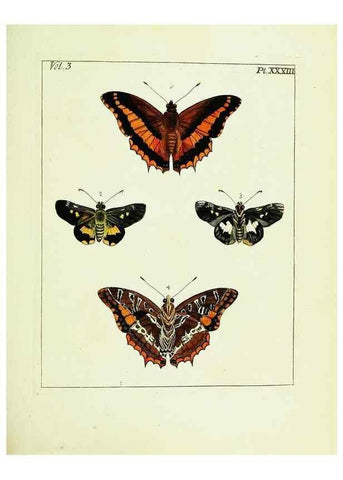 Reproducción/Reproduction 9248637516: Illustrations of natural history.. London,Printed for the author and sold by B. White,1770-82.