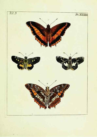Reproducción/Reproduction 9248637516: Illustrations of natural history.. London,Printed for the author and sold by B. White,1770-82.