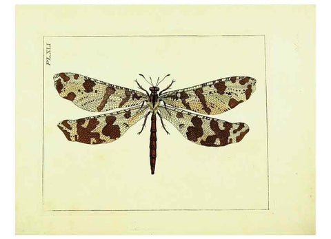 Reproducción/Reproduction 9245863925: Illustrations of natural history.. London,Printed for the author and sold by B. White,1770-82.