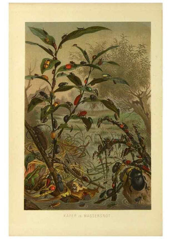Reproducción/Reproduction 9524141682: Die Insekten, Tausendfüssler und Spinnen.. Leipzig,Bibliographische Institut,1877.