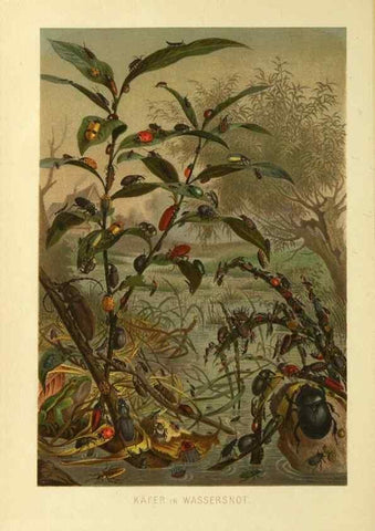 Reproducción/Reproduction 9524141682: Die Insekten, Tausendfüssler und Spinnen.. Leipzig,Bibliographische Institut,1877.