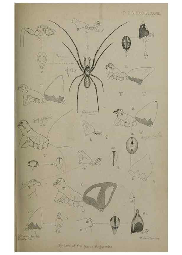 Reproducción/Reproduction 9518332042: Proceedings of the Zoological Society of London.. London :Academic Press, [etc.],1833-1965.