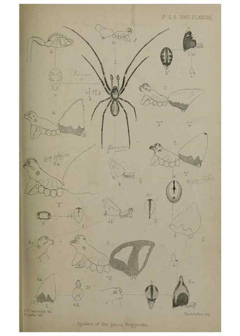 Reproducción/Reproduction 9518332042: Proceedings of the Zoological Society of London.. London :Academic Press, [etc.],1833-1965.