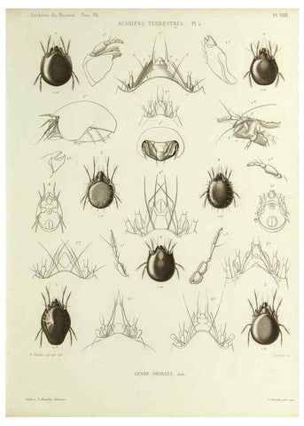 Reproducción/Reproduction 9472522748: Histoire naturelle des acariens qui se trouvent aux environs de Paris,. Paris,Impr. de J. Claye,1855?