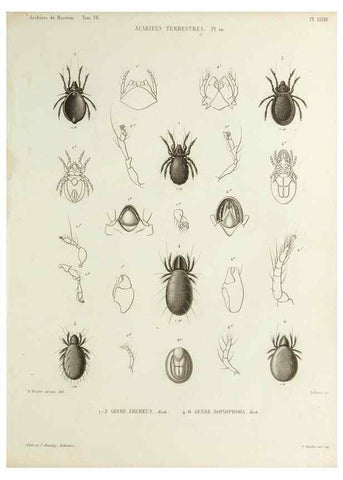 Reproducción/Reproduction 9469742451: Histoire naturelle des acariens qui se trouvent aux environs de Paris,. Paris,Impr. de J. Claye,1855?
