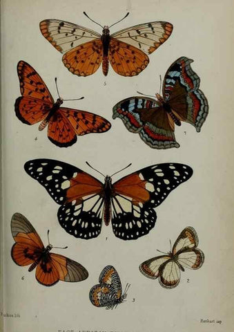 Reproducción/Reproduction 9518319052: Proceedings of the Zoological Society of London.. London :Academic Press, [etc.],1833-1965.