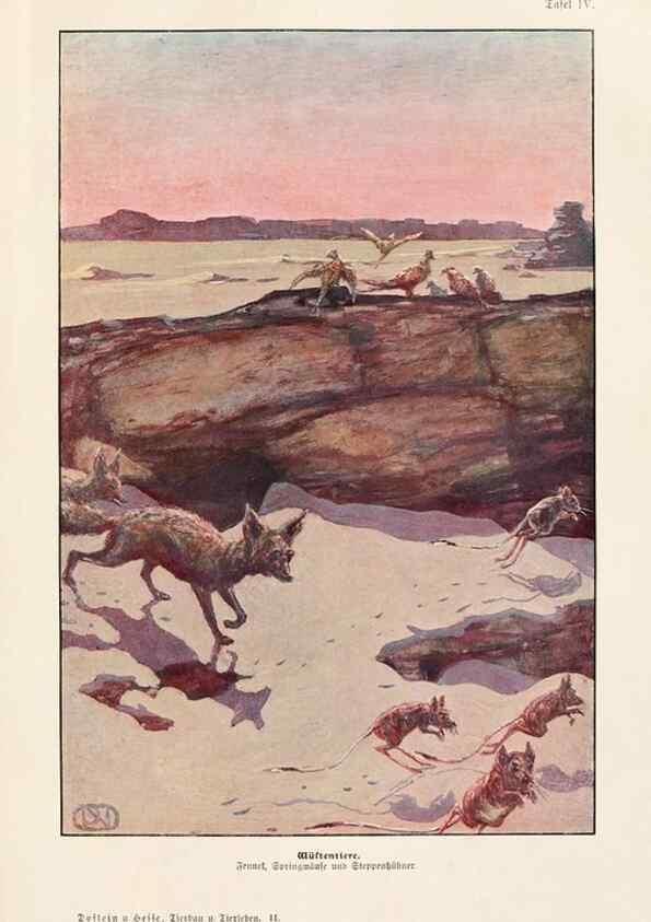 Reproducción/Reproduction 9680191290: Tierbau und tierleben in ihrem zusammenhang betrachtet. Leipzig, und BerlinB. G. Teubner,1910-14.