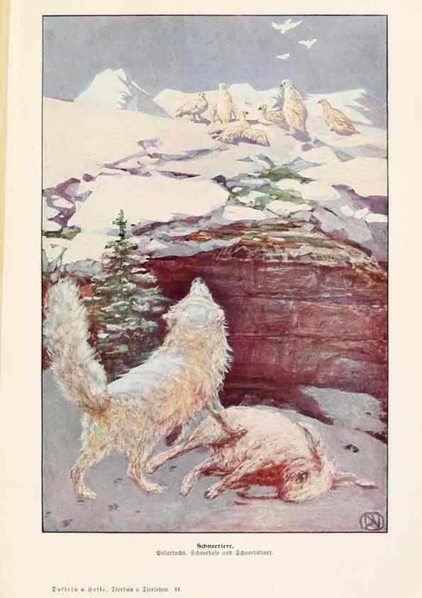 Reproducción/Reproduction 9680192466: Tierbau und tierleben in ihrem zusammenhang betrachtet. Leipzig, und BerlinB. G. Teubner,1910-14.