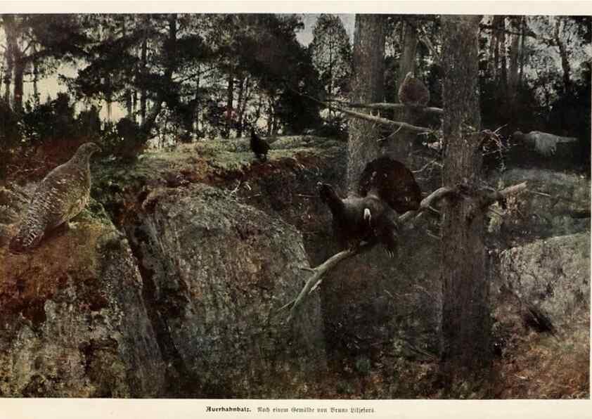 Reproducción/Reproduction 9676967601: Tierbau und tierleben in ihrem zusammenhang betrachtet. Leipzig, und BerlinB. G. Teubner,1910-14.