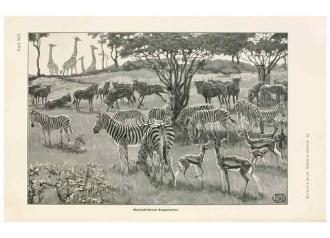 Reproducción/Reproduction 9680205466: Tierbau und tierleben in ihrem zusammenhang betrachtet. Leipzig, und BerlinB. G. Teubner,1910-14.