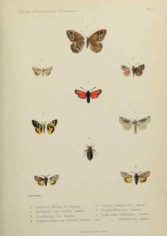 Reproducción/Reproduction 9604566571: Études d'entomologie :. Rennes :Imprimerie Oberthür,[1876]-1902.