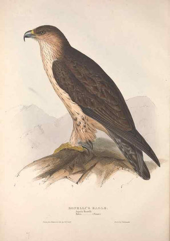 Reproducción/Reproduction 9398519329: The birds of Europe.. London,Printed by R. and J.E. Taylor, pub. by the author,1837.