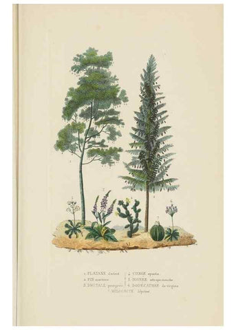 Reproducción/Reproduction 9368500347: Dictionnaire classique des sciences naturelles :. Brussels :Meline, Cans et Ce.,1853.