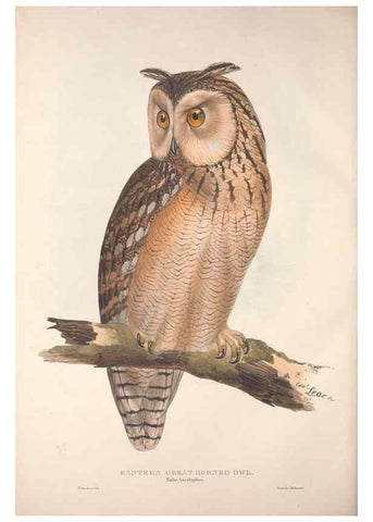 Reproducción/Reproduction 9398559293: The birds of Europe.. London,Printed by R. and J.E. Taylor, pub. by the author,1837.