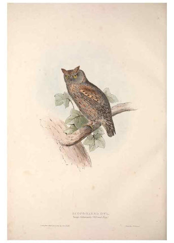 Reproducción/Reproduction 9401327902: The birds of Europe.. London,Printed by R. and J.E. Taylor, pub. by the author,1837.