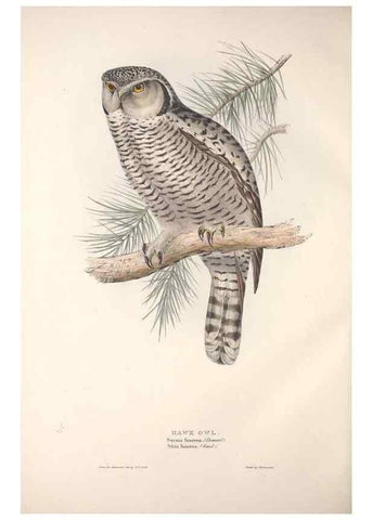 Reproducción/Reproduction 9401333244: The birds of Europe.. London,Printed by R. and J.E. Taylor, pub. by the author,1837.