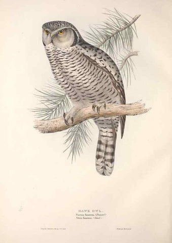 Reproducción/Reproduction 9401333244: The birds of Europe.. London,Printed by R. and J.E. Taylor, pub. by the author,1837.