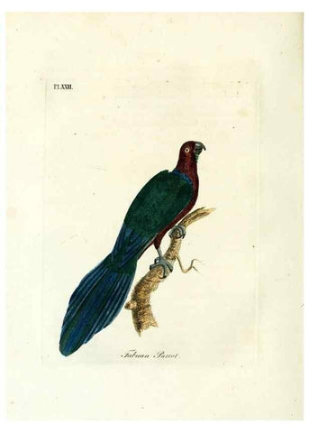 Reproducción/Reproduction 8968813830: A general history of birds /. Winchester [England] :Printed by Jacob and Johnson, for the author : sold in London by G. and W.B. Whittaker ... [and 3 others],1821-1828.